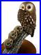 Big-Sky-Carvers-Owl-Owlets-by-Ashley-Gray-Hand-Painted-Hand-Carved-Resin-01-ur