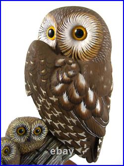 Big Sky Carvers Owl & Owlets by Ashley Gray Hand Painted Hand Carved Resin