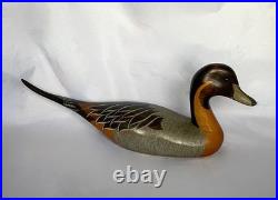Big Sky Carvers Pintail Drake Decorative Decoy-Craig Fellows