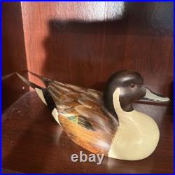 Big Sky Carvers Pintail Drake Duck Decoy