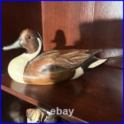 Big Sky Carvers Pintail Drake Duck Decoy