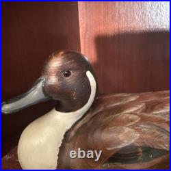 Big Sky Carvers Pintail Drake Duck Decoy