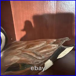 Big Sky Carvers Pintail Drake Duck Decoy