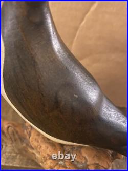Big Sky Carvers Puffin Wood Carving Mounted Signed Burl Wood Hand Painted