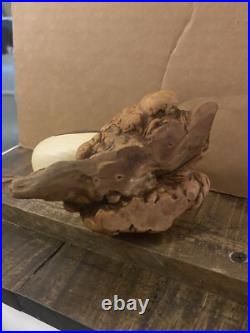 Big Sky Carvers Puffin Wood Carving Mounted Signed Burl Wood Hand Painted