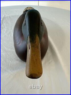 Big Sky Carvers Redhead Randy Canvasback Duck Decoy Signed By Linda Williams