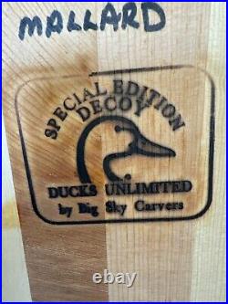 Big Sky Carvers Redhead Randy Canvasback Duck Decoy Signed By Linda Williams