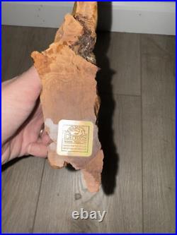 Big Sky Carvers Ring Neck Pheasant Hand Painted