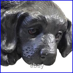 Big Sky Carvers Wood Framed Mirror Dog Treat Knobs For Hanging Black Lab Dog