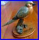 Bob-Guge-Masters-Ltd-Ed-161-1250-Big-Sky-Carvers-Exquisite-Mourning-Dove-Carving-01-sq