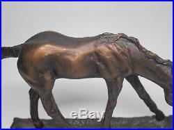 Bonded Bronze Big Sky Carvers Foal & Squirrel Sculpture CR Morrison Western