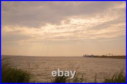 Bring Me Home Chesapeake Bay Painting By Hui Lai Chong