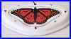 Butterfly-Switch-With-Led-Lights-01-wyo