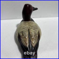 Canvasback Drake Duck Decoy Big Sky Carvers of Montana Signed by Chris Linn