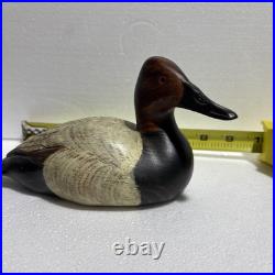 Canvasback Drake Duck Decoy Big Sky Carvers of Montana Signed by Chris Linn