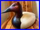 Canvasback-by-Thomas-Chandler-01-bx