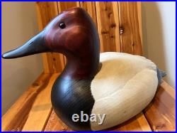 Canvasback by Thomas Chandler