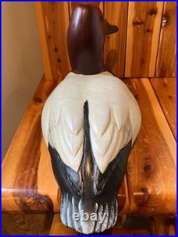 Canvasback by Thomas Chandler