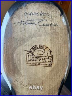 Canvasback by Thomas Chandler