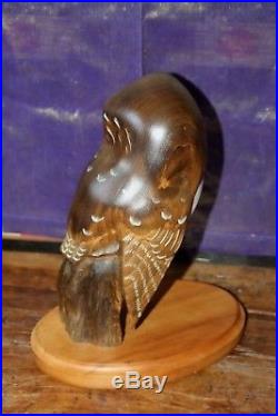 Carved Wood Saw Whet Owl Big Sky Carvers Ken White LTD ED # NEW NIB COA rare