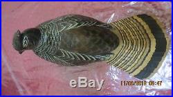 Chris Olson Big Sky Carvers Carved Wood Fan Tail Duck Signed & Numbered