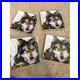 Dean-Crouser-Traveler-Wolf-Framed-Wall-Art-Big-Sky-Carvers-Wildlife-Decor-Print-01-ra