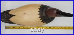Duck Decoy Ducks Unlimited Special Edition Canvasback Drake Big Sky Carvers Wood