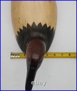 Duck Decoy Ducks Unlimited Special Edition Canvasback Drake Big Sky Carvers Wood