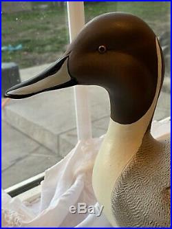 Duck decoy pintail Big Sky Carvers Masters Edition Handcrafted #195/400