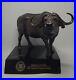 Friends-of-The-NRA-Big-Game-Series-The-Cape-Buffalo-2009-11914-SHF-01-gj