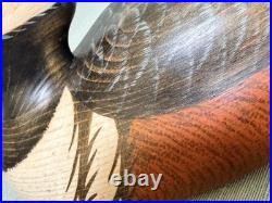 Hand Carved Hooded Merganser Drake Vintage Wooden Decorative Duck Decoy Signed
