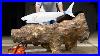 I-Carved-This-Into-A-Great-White-Shark-01-aoe