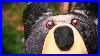 Jimmy-Bears-The-Art-Of-Wood-Carving-01-gmkd