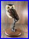 K-W-White-Big-Sky-Carvers-Owl-Sculpture-Signed-Limited-Edition-736-950-01-ekhx