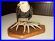 Ken-White-Big-Sky-Master-Carver-Bald-Eagle-01-bikv