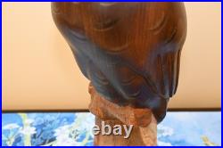 Ken White Big Sky Master Carver Falcon Bald Eagle Sculpture Decoy Duck Nra