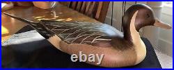 MT889 Big Sky Carvers Rare Pintail Hand Carved & Painted By Sally McMurtry