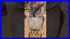 Owl-Chainsaw-Carving-For-A-Fellow-Carver-01-wp