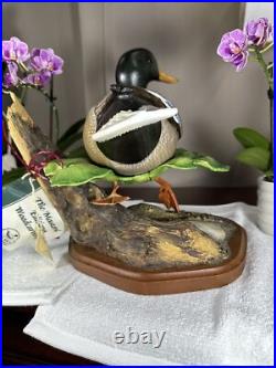 PRISTINE Big Sky Carvers Duck Decoy SWIMMING MALLARD Masters Edition +COA RARE