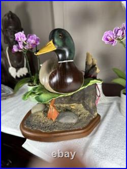 PRISTINE Big Sky Carvers Duck Decoy SWIMMING MALLARD Masters Edition +COA RARE
