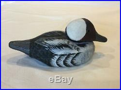 Peter Codd MIGRATIONS Boston LOT of SIX Hand Crafted Wood Duck Decoys 6 pcs