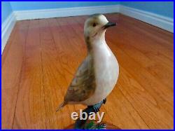 Peter Kaum Big Sky Carvers Masters Ltd Ed 233/750 Exquisite Dove Carving