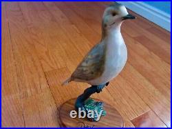 Peter Kaum Big Sky Carvers Masters Ltd Ed 233/750 Exquisite Dove Carving