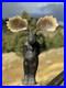 RARE-Original-BIG-SKY-CARVERS-Wooden-Carved-Moose-Jeff-Flemings-01-loa