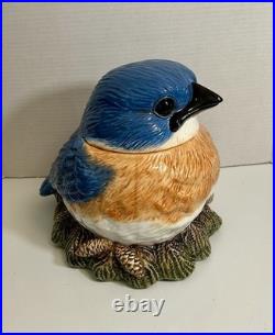 Rare Fat Bird Bluebird Cookie Jar Big Sky Carvers Phyllis Dricsoll Salt Shakers