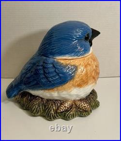 Rare Fat Bird Bluebird Cookie Jar Big Sky Carvers Phyllis Dricsoll Salt Shakers