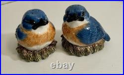 Rare Fat Bird Bluebird Cookie Jar Big Sky Carvers Phyllis Dricsoll Salt Shakers