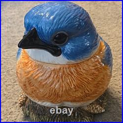 Rare Fat Bluebird Cookie Jar Big Sky Carvers Phyllis Driscoll Large
