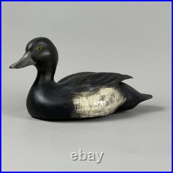 Rare Vintage Blue Bill Ring Necked Duck Decoy Big Sky Carvers Ducks Unlimited