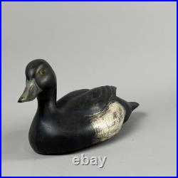 Rare Vintage Blue Bill Ring Necked Duck Decoy Big Sky Carvers Ducks Unlimited
